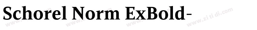 Schorel Norm ExBold字体转换